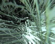 Undurchdringliches_Liniengeflecht Undurchdringliches Liniengeflecht