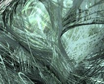 fragiles_Geflecht Fragiles Geflecht als Wegscheide