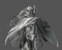 Vogel_Haus Der Vogel Haus