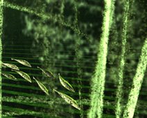 Einzug Die Künstlichkeit hält Einzug in die Natur